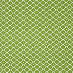 ZIGGURAT fabric GREEN color by Schumacher