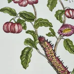 SO17872013 | Baudin Butterfly Chintz Pillow - Blush Schumacher Baudin Butterfly Chintz Pillow in Blush (SO17872013)