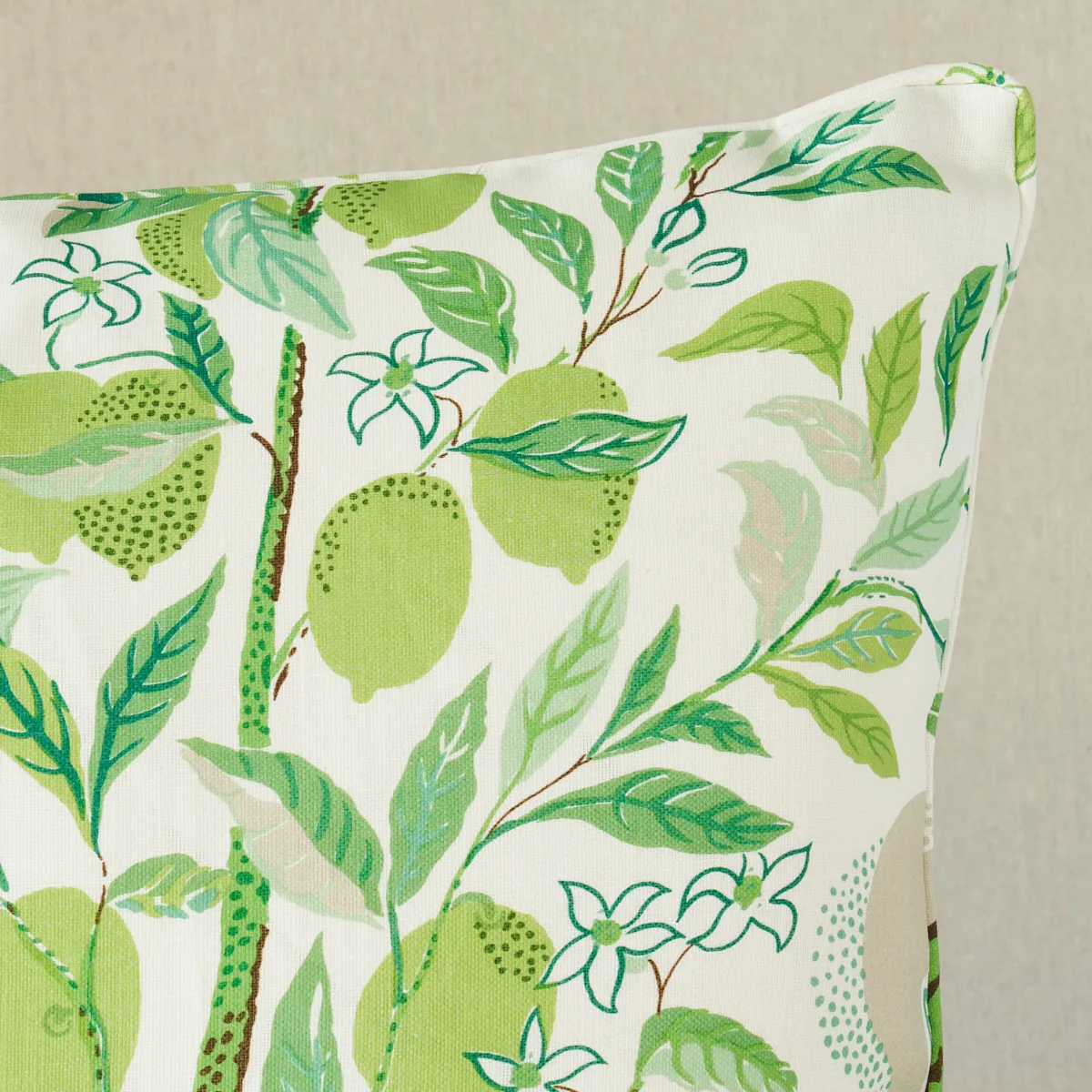 Schumacher Citrus Garden I/O Pillow in Leaf