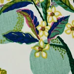 SO17576206 | Citrus Garden Pillow - Lime Schumacher Citrus Garden Pillow in Lime (SO17576206)