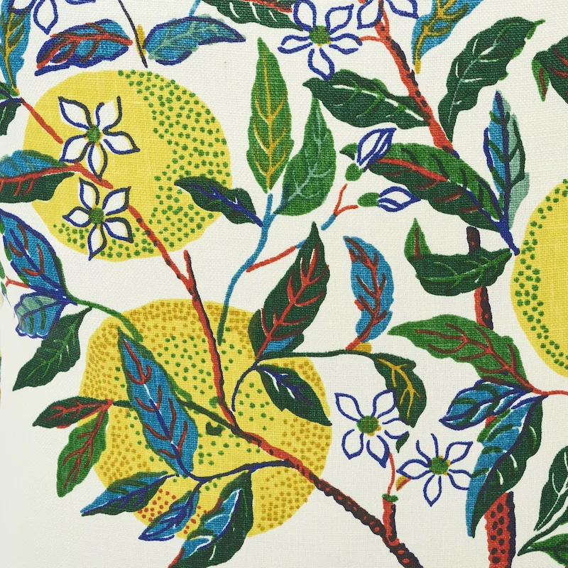 Citrus Garden Pillow - Primary Schumacher Citrus Garden Pillow in Primary