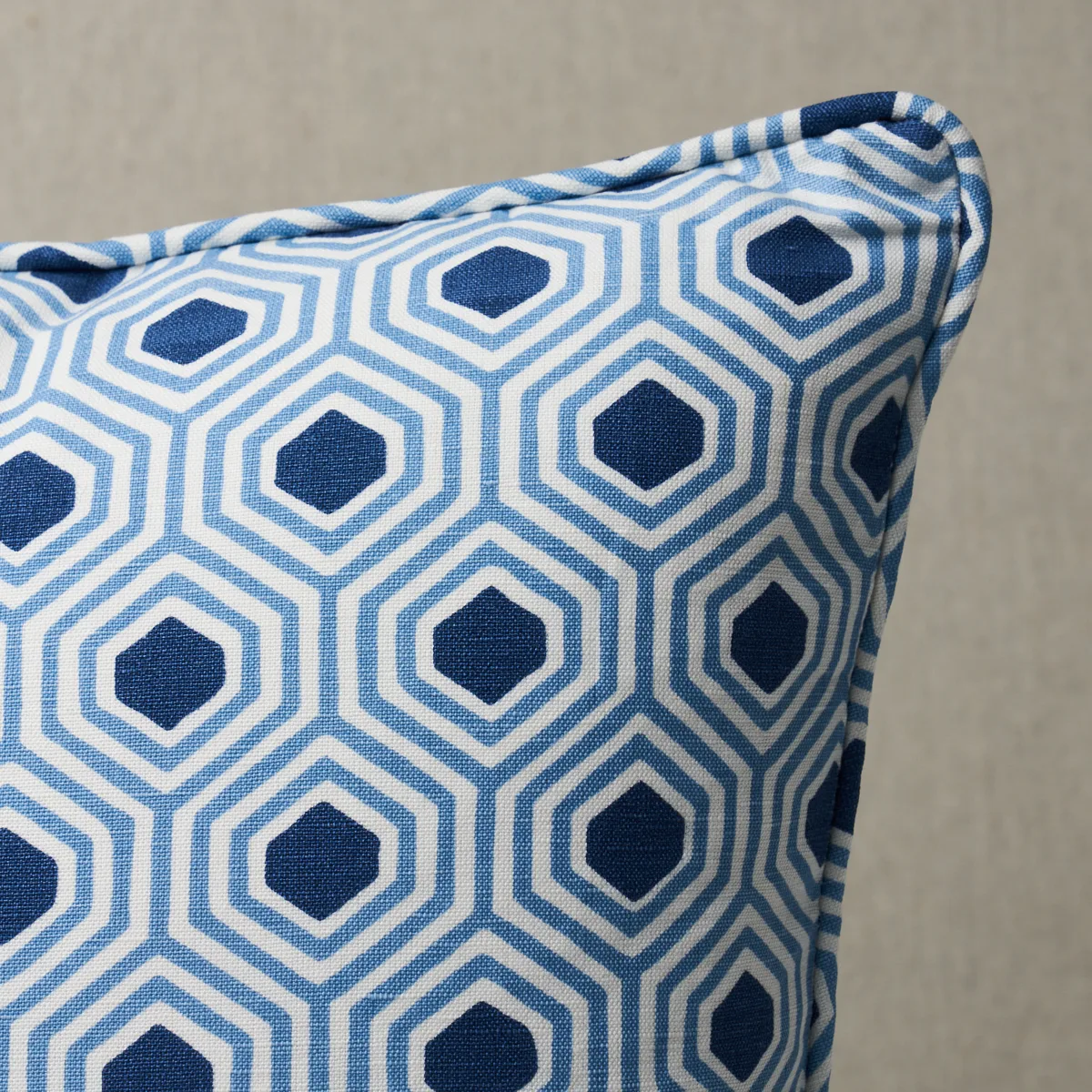 Schumacher Otis Hand Print Pillow in Blue