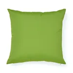SO17656003 | Queen B I/O Pillow - Green Schumacher Queen B I/O Pillow in Green (SO17656003)