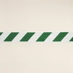 Schumacher Airmail I Indoor/Outdoor Tape trim in Green and Ivory (82422)