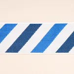 Schumacher Airmail Ii Indoor/Outdoor Tape trim in Blue and Blue (82431)