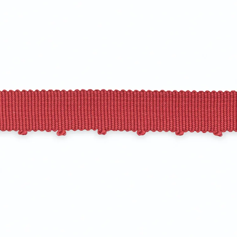 Schumacher Amy Picot-Edge Grosgrain trim in Ruby (B109-11)