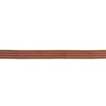 85431 | Arya Stripe Hand Block Trim - Gold Schumacher Arya Stripe Hand Block Trim in Gold (85431)
