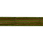 85432 | Arya Stripe Hand Block Trim - Green Schumacher Arya Stripe Hand Block Trim in Green (85432)
