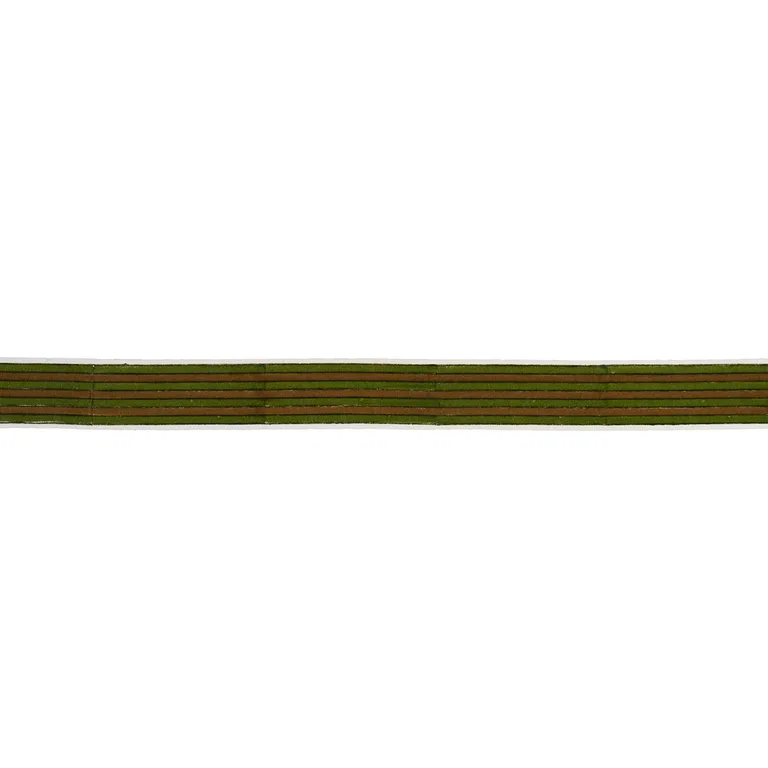 Schumacher Arya Stripe Hand Block Trim in Green (85432)