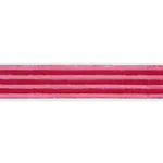 85430 | Arya Stripe Hand Block Trim - Pink Schumacher Arya Stripe Hand Block Trim in Pink (85430)