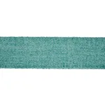 72417 | Ashwood Tape Indoor/Outdoor - Aqua Schumacher Ashwood Tape Indoor/Outdoor trim in Aqua (72417)