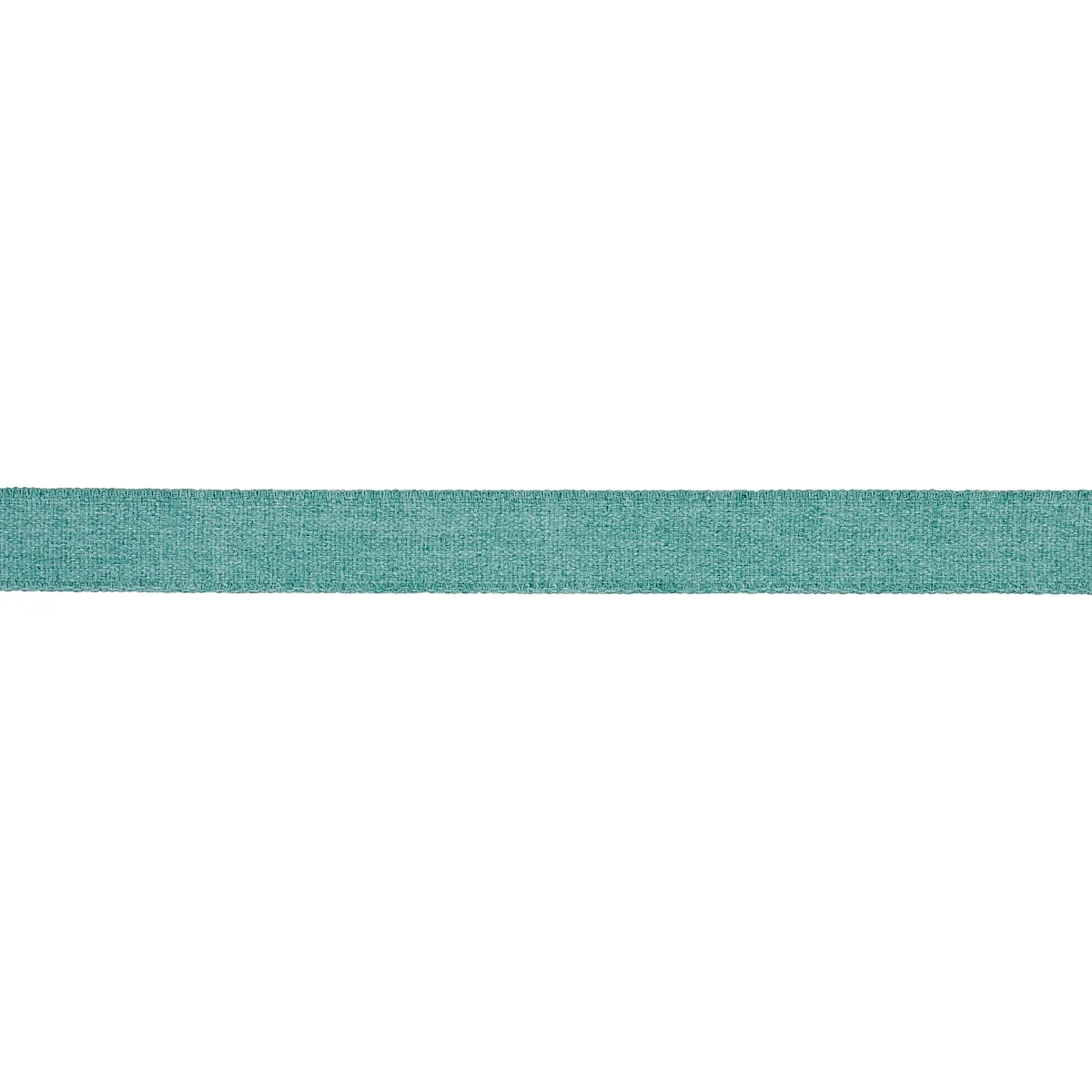 Schumacher Ashwood Tape Indoor/Outdoor trim in Aqua (72417)