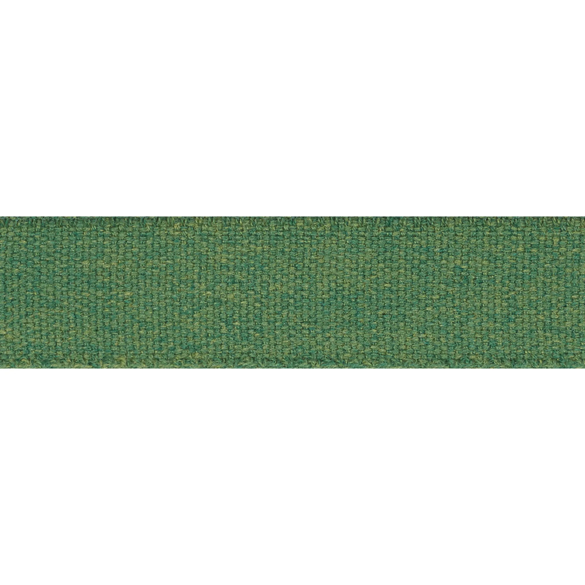 72414 | Ashwood Tape Indoor/Outdoor – Green