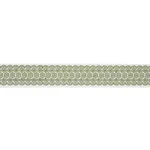 Schumacher Astrid Embroidered Tape trim in Green (80441)