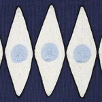 181220 | Backgammon Tape - Navy and Sky Schumacher Backgammon Tape trim in Navy and Sky (181220)