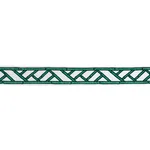 Schumacher Bamboo Trellis Tape trim in Green (81741)