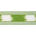 Schumacher Banyan Tape Narrow trim in Leaf (83242)