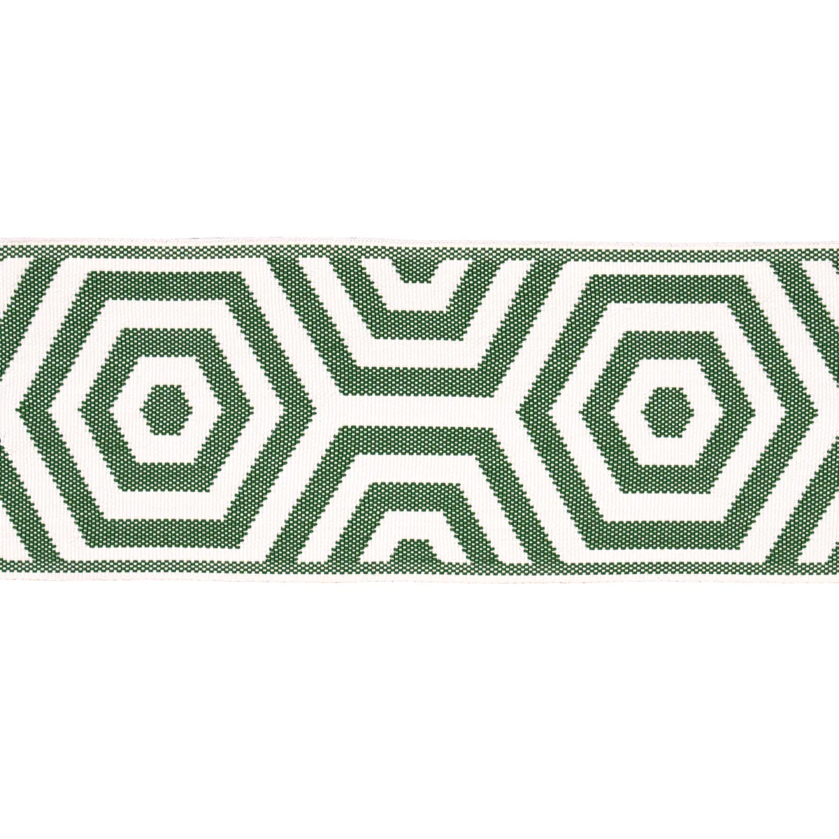 Schumacher Bees Knees Indoor/Outdoor Tape trim in Green (82451)