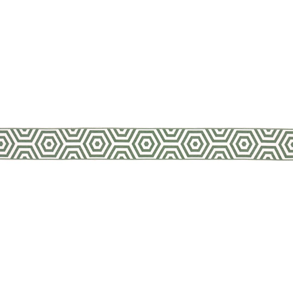 Schumacher Bees Knees Indoor/Outdoor Tape trim in Green (82451)