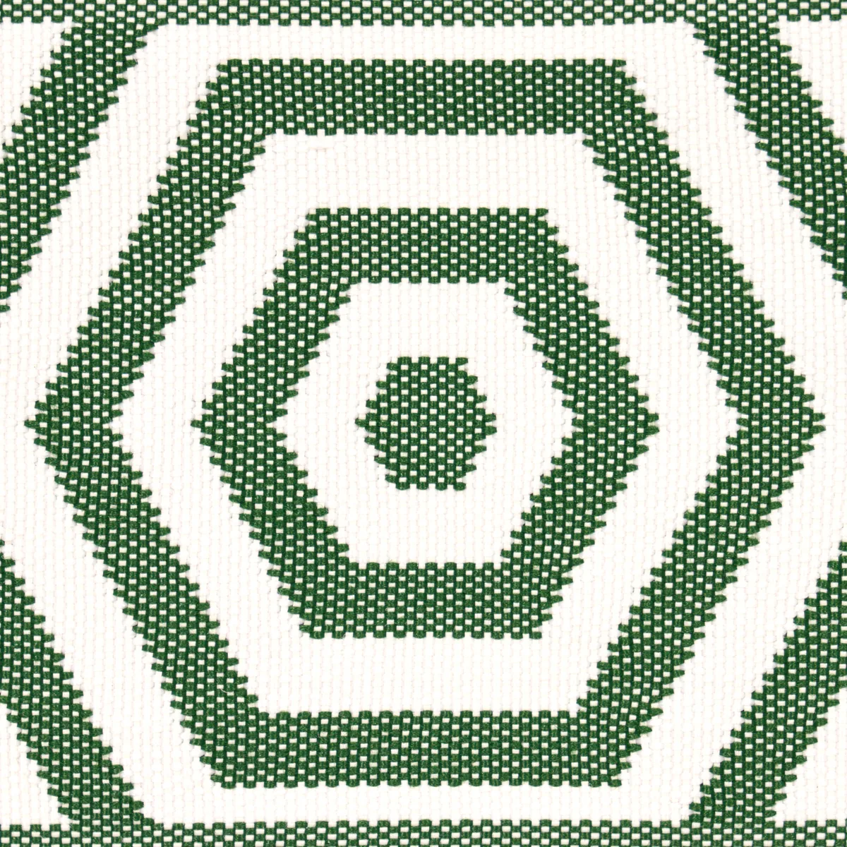 Schumacher Bees Knees Indoor/Outdoor Tape trim in Green (82451)