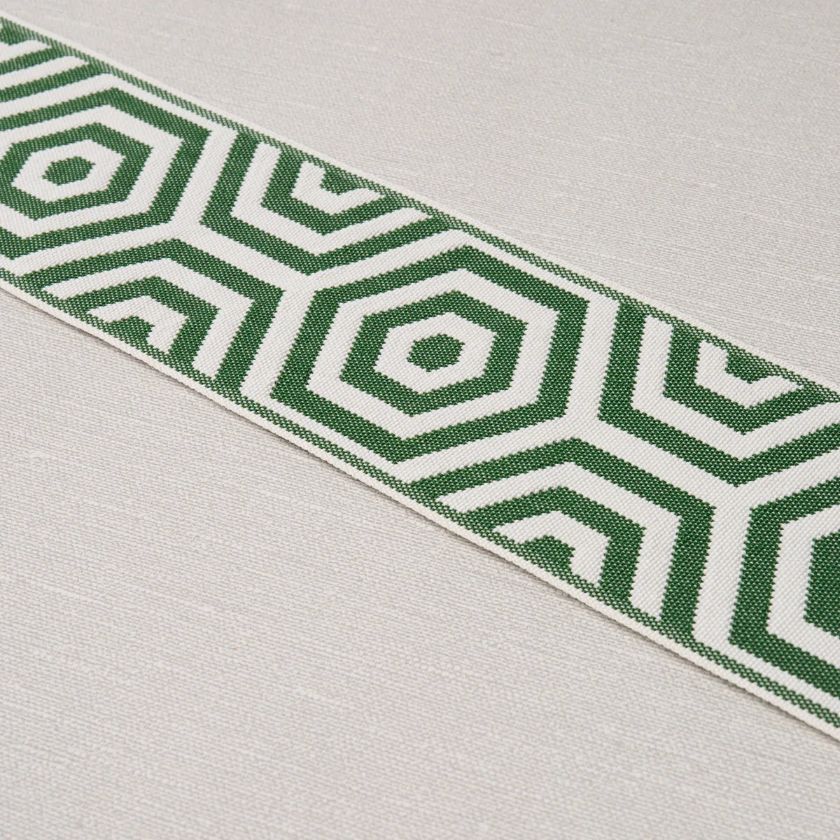 Schumacher Bees Knees Indoor/Outdoor Tape trim in Green (82451)