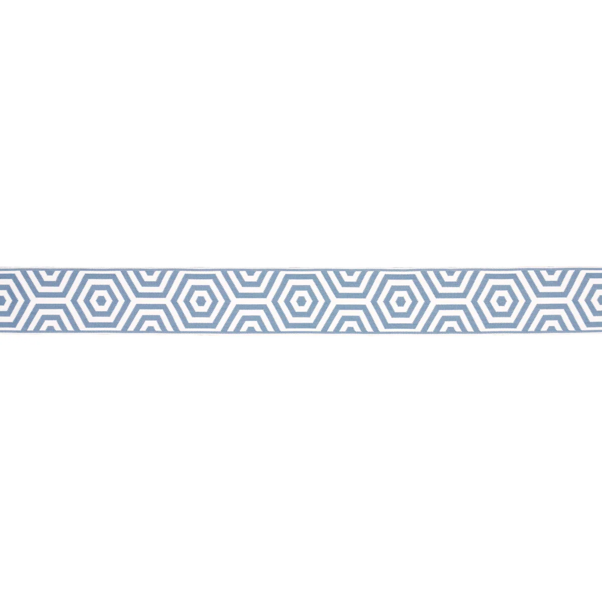 Schumacher Bees Knees Indoor/Outdoor Tape trim in Sky (82453)