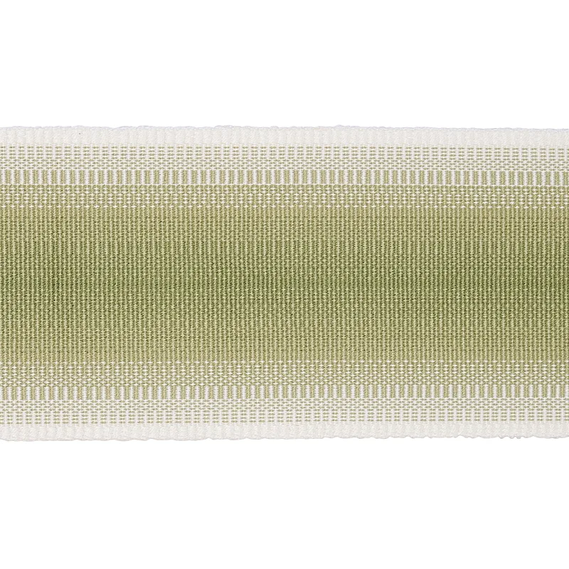 Schumacher Belton Tape trim in Green (75596)