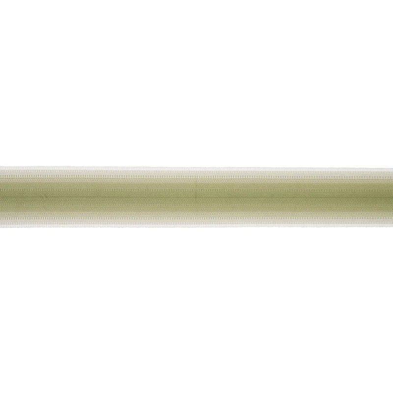 Schumacher Belton Tape trim in Green (75596)