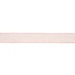 83910 | Berkeley Tape Wide - Blush Schumacher Berkeley Tape Wide trim in Blush (83910)