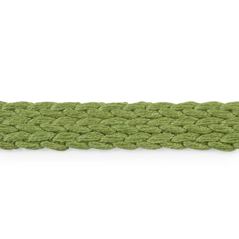 Schumacher Braided Linen Tape Medium trim in Leaf (76281)