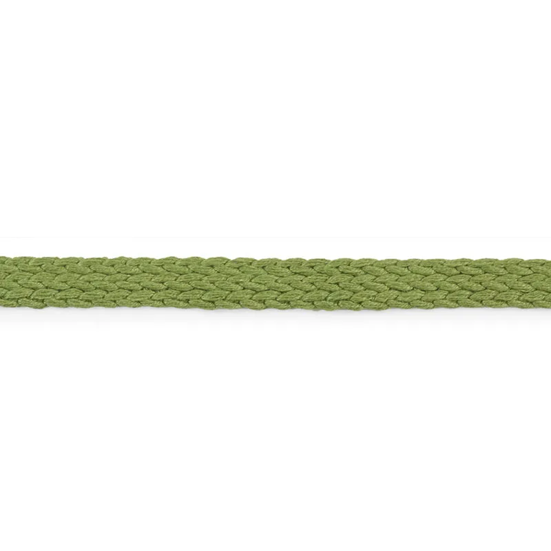 Schumacher Braided Linen Tape Medium trim in Leaf (76281)
