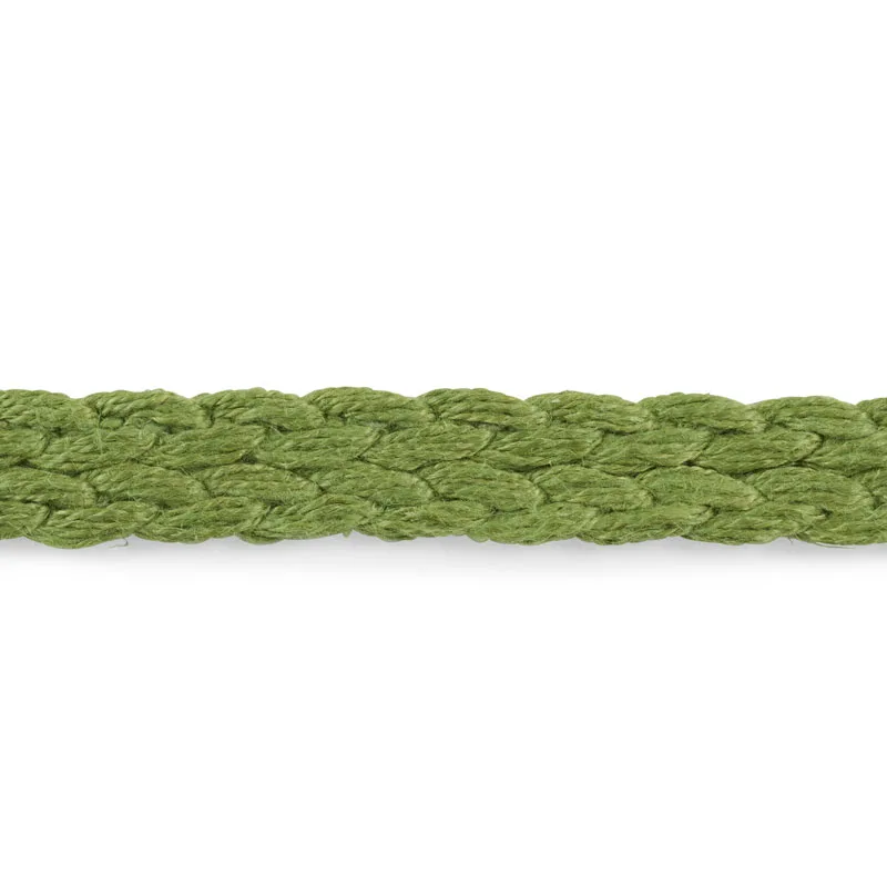 Schumacher Braided Linen Tape Narrow trim in Leaf (76271)