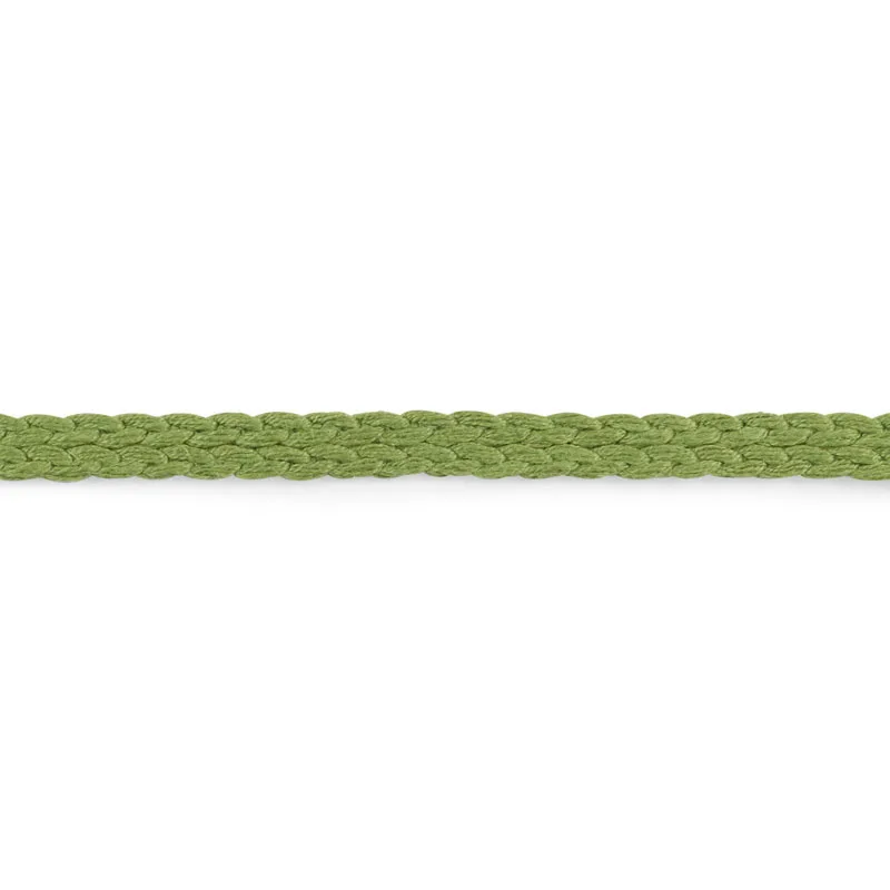 Schumacher Braided Linen Tape Narrow trim in Leaf (76271)