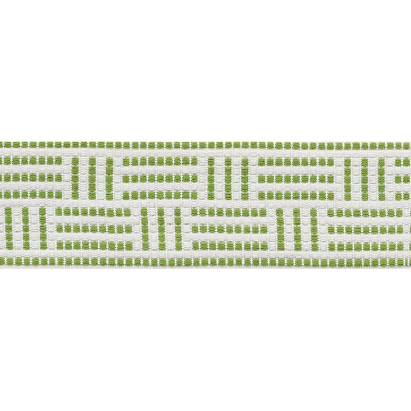 Schumacher Brickell Tape Indoor/Outdoor trim in Leaf (75961)