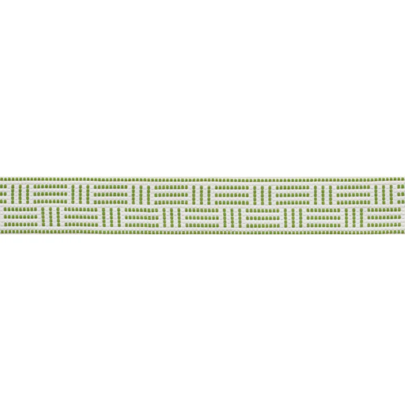 Schumacher Brickell Tape Indoor/Outdoor trim in Leaf (75961)