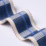 79208 | Calcada Tape Medium - Lapis Schumacher Calcada Tape Medium trim in Lapis (79208)