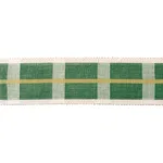 Schumacher Calcada Tape Wide trim in Grass (78978)