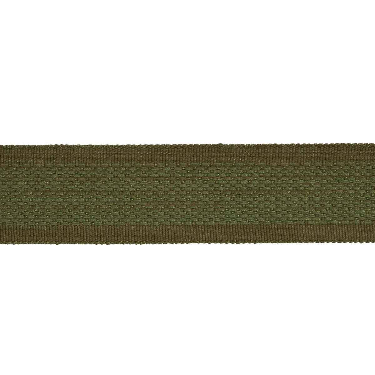 Schumacher Cardiff Tape trim in Green (83383)