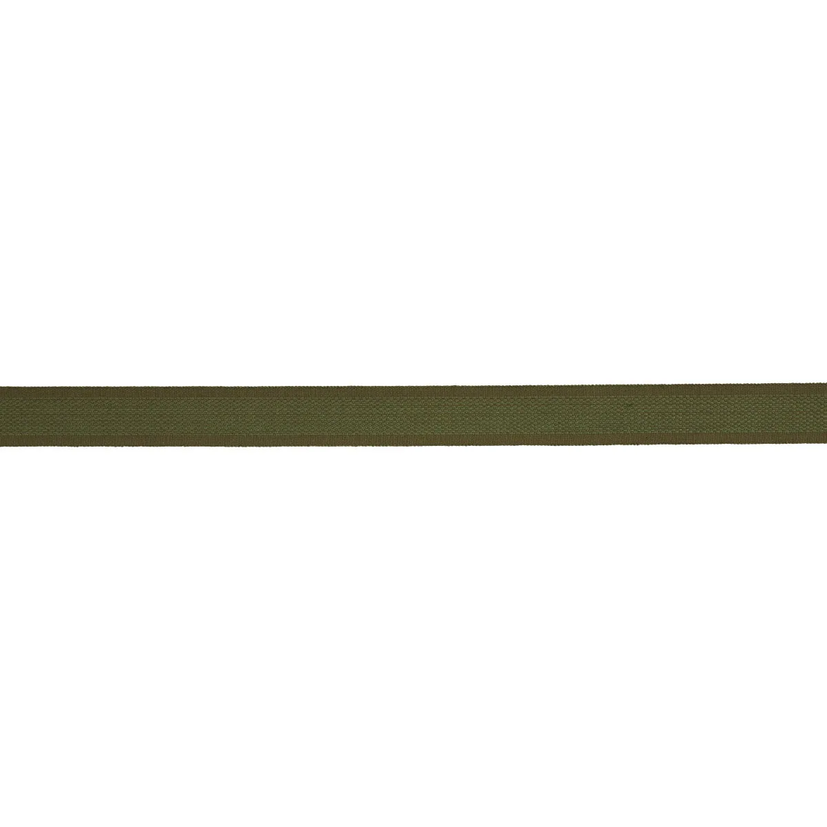 Schumacher Cardiff Tape trim in Green (83383)