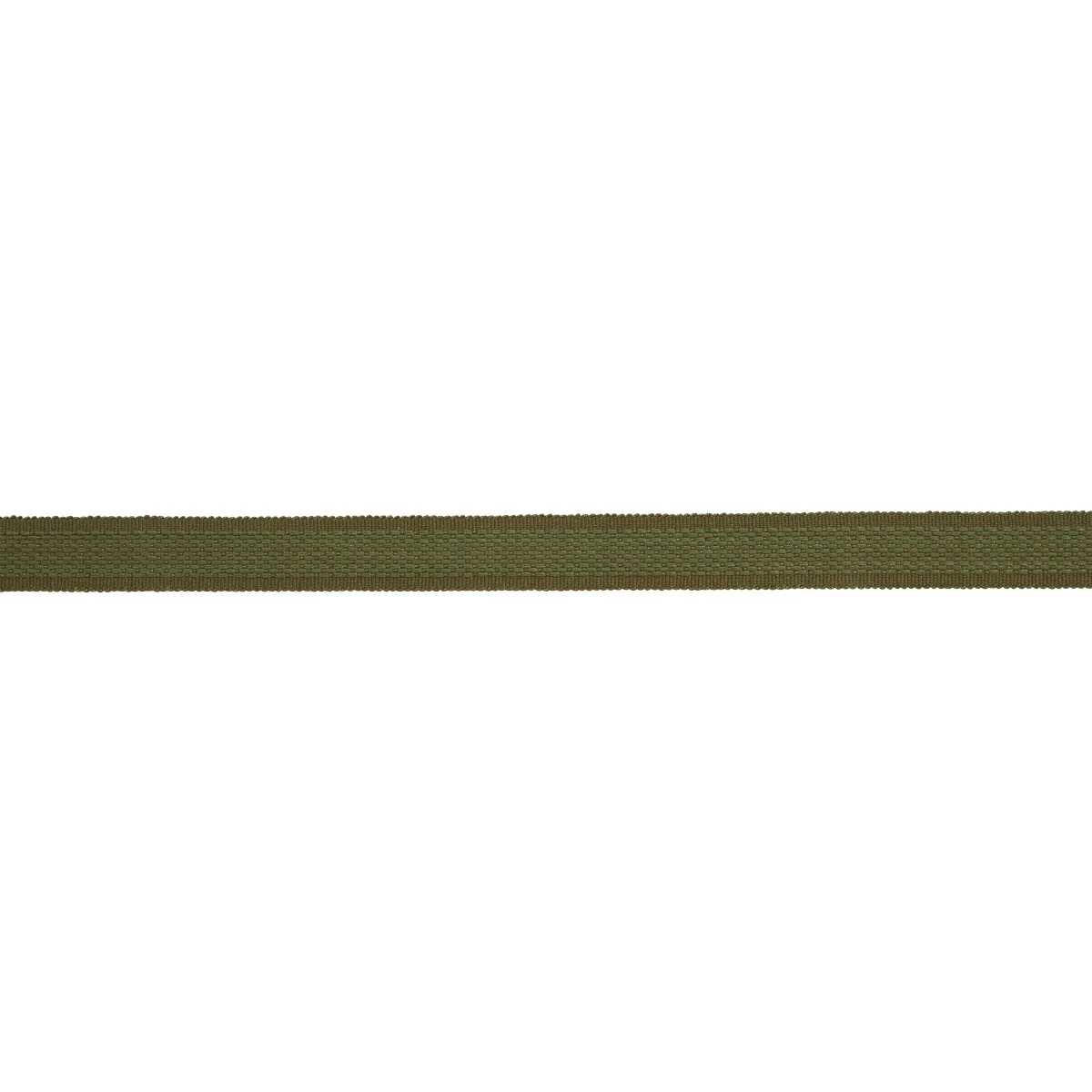 Schumacher Cardiff Tape Medium trim in Green (83393)