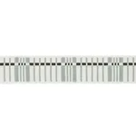 78002 | Carmo Tape Medium - Sage Schumacher Carmo Tape Medium trim in Sage (78002)