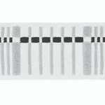 79001 | Carmo Tape Medium - Silver & Black Schumacher Carmo Tape Medium trim in Silver & Black (79001)