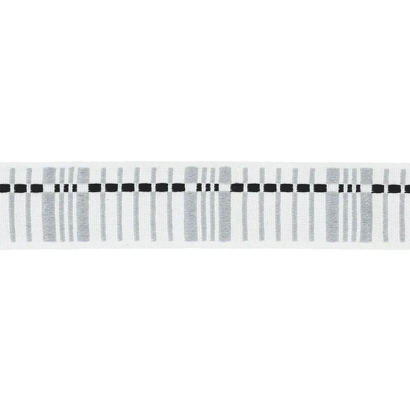Schumacher Carmo Tape Medium trim in Silver & Black (79001)