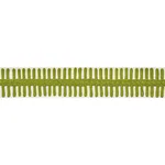 Schumacher Castille Tape trim in Leaf (70746)