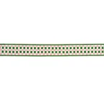 85450 | Chequer Hand Block Trim - Green Schumacher Chequer Hand Block Trim in Green (85450)