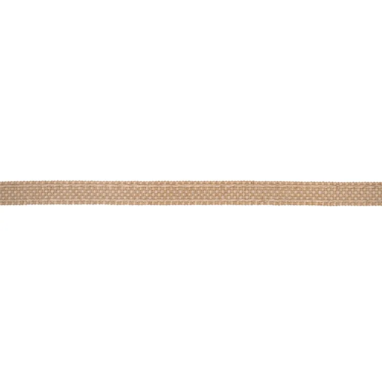 Schumacher Country Braid trim in Flax (85544)