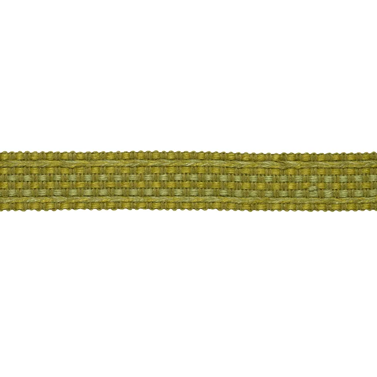 Schumacher Country Braid trim in Grass (85540)