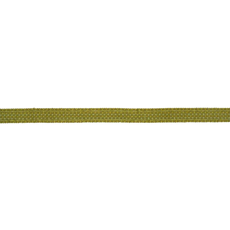 Schumacher Country Braid trim in Grass (85540)