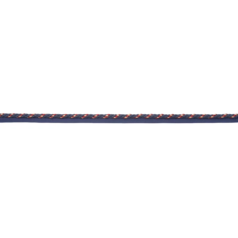 Schumacher Country Cord trim in Denim (85555)