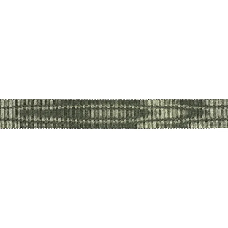Schumacher Dutchess Tape trim in Sage (82807)